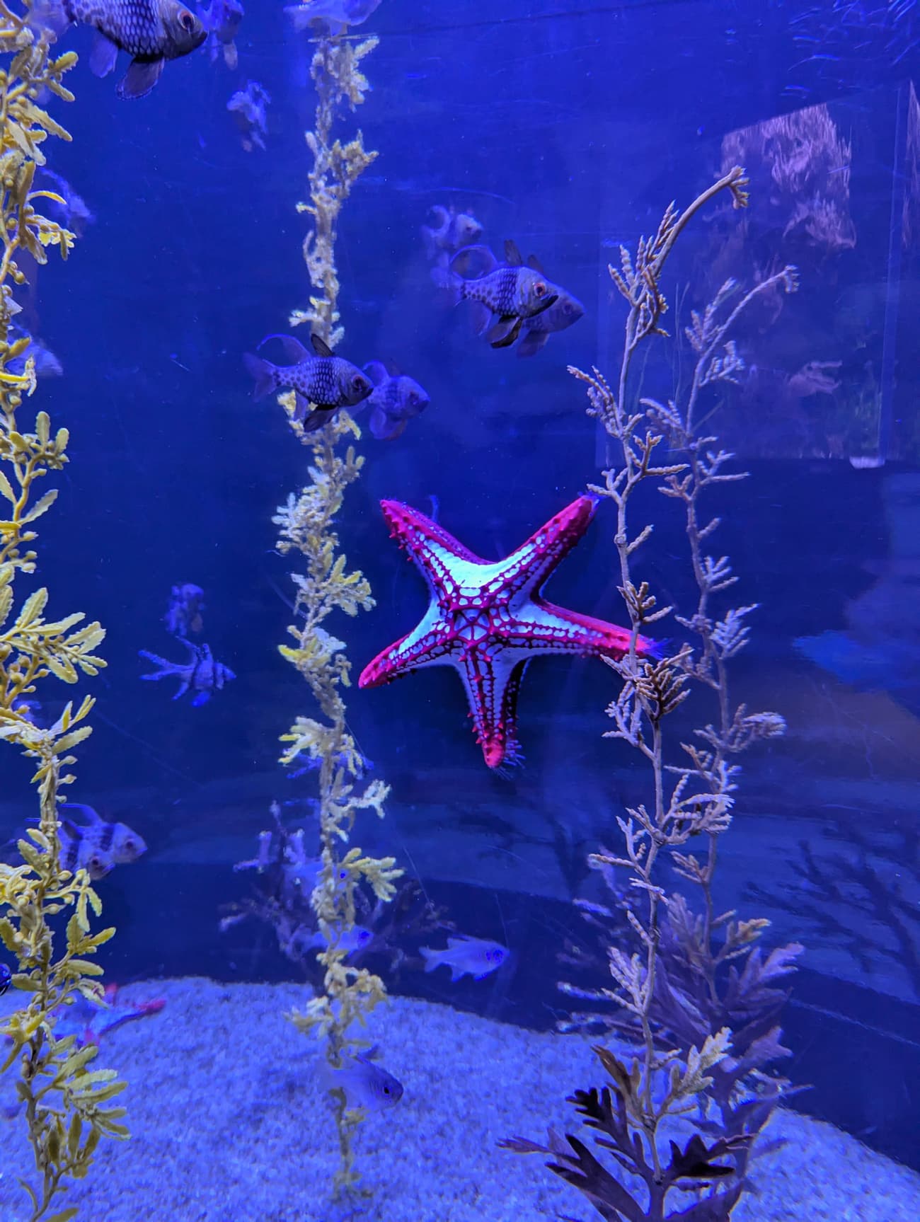 Photo of "Farewell to winter and the cold!" Photo of Farewell to winter and the cold!